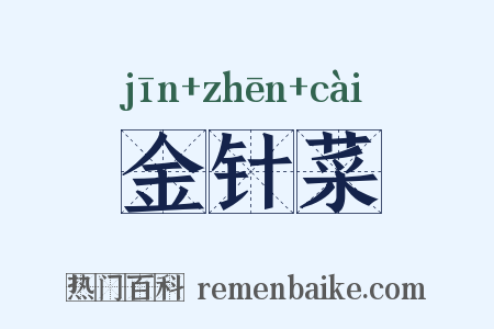 金针菜是什么意思的图片